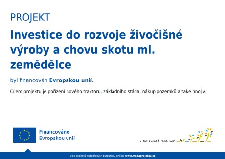 Snímek obrazovky 2026-01-17 174325